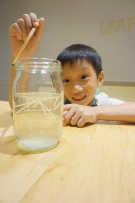 👩‍🍳Little Einstein Chef  2-6 Years Old