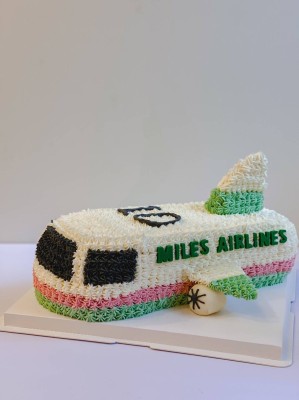 Birthday Cake Samples