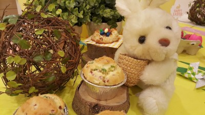 2025 STEAM Science and Cooking Spring Camp