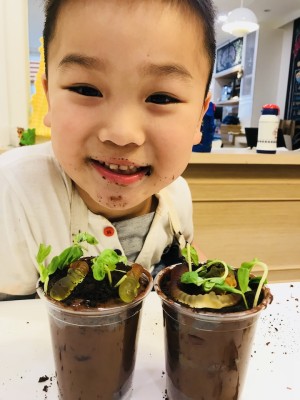 2025 STEAM Science and Cooking Spring Camp